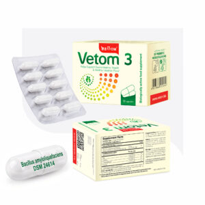 Probiotikum Vetom <span style="color:red">3</span> (étrend-kiegészítő) <span style="color:red">50</span> szemes kapszula